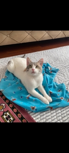 6 aylık dünya tatlısı fotoğraf