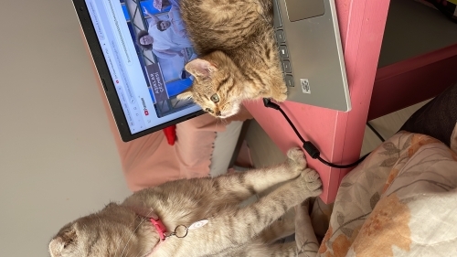 Çok sevecen cana yakın uslu fotoğraf