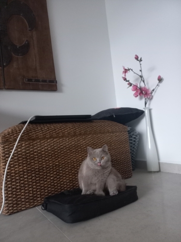 Sevgi dolu bir yuva arıyoruz fotoğraf