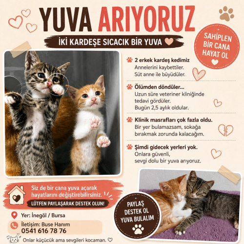 Yavrular Meleklerini Arıyor fotoğraf