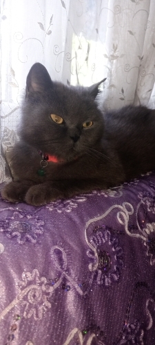Çok tatlı bir kız fotoğraf