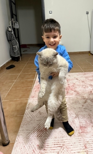 Uysal ve sakin kedim fotoğraf