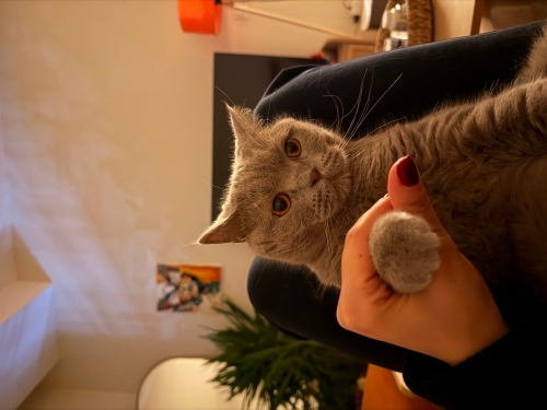 Mundo'ya onun gibi sevgi dolu bir yuva arıyorum fotoğraf