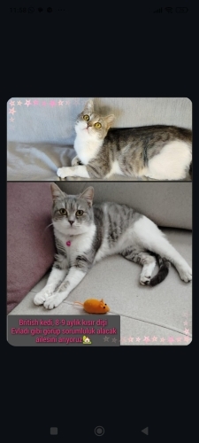 Acil evini ariyor güzel kiz fotoğraf