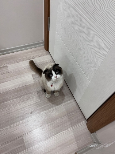 Sevilmeyi çok seviyor fotoğraf