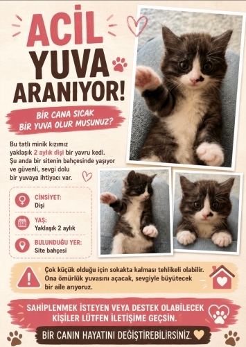 SİZE GELEBİLİRMYİM…. fotoğraf