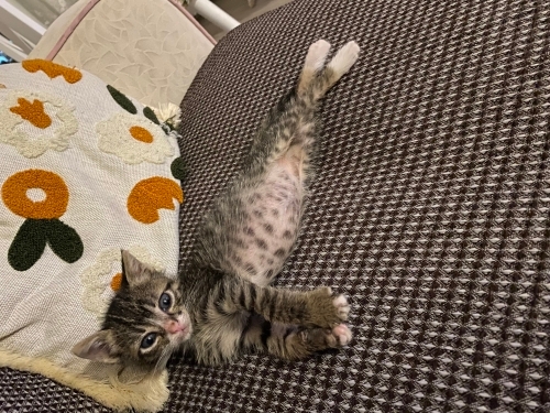 Lütfen ona bir şans verin fotoğraf