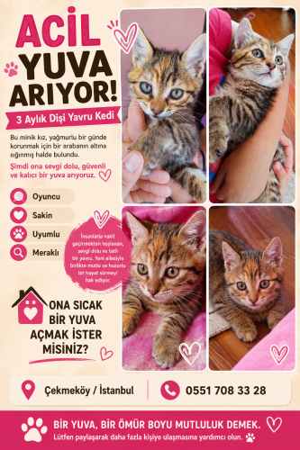 İstanbul-Çekmeköy / 3aylık Güzel Kızımıza mutlu bir yuva arıyoruz fotoğraf