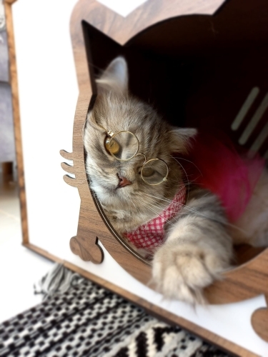 Güzeller güzeli kızım fotoğraf