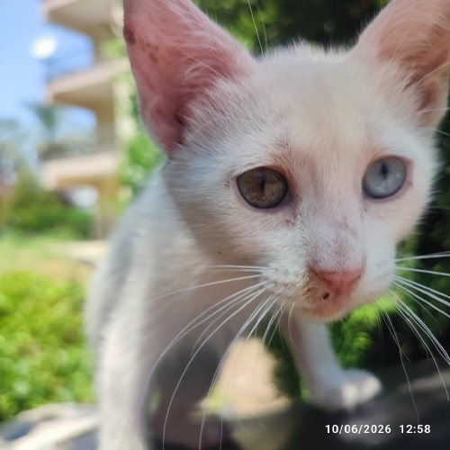 Gözler ve sakinlik fotoğraf