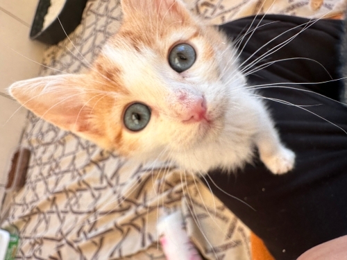 ACİL YUVA CABBAR’A fotoğraf