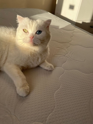 Güzel ve tatlı kızıma bakabilecek ömürlük yuva fotoğraf