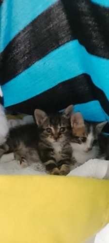 Güzelbi yuvası olsun fotoğraf