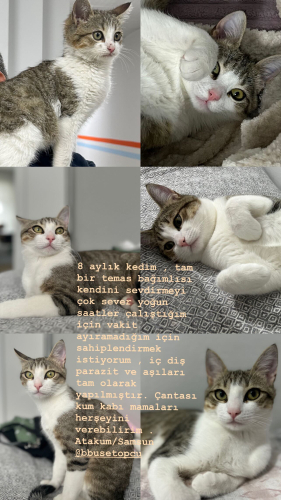 Temas bağımlısı fotoğraf