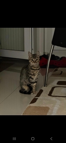Bu güzellige yuva fotoğraf