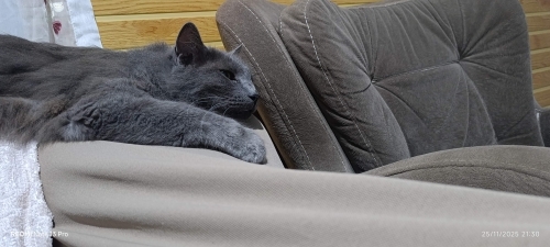 Oyuncu olduğu kadar asi bir yapı da fotoğraf