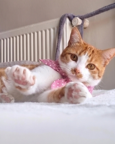 PEMBE FULARLI KIZ fotoğraf