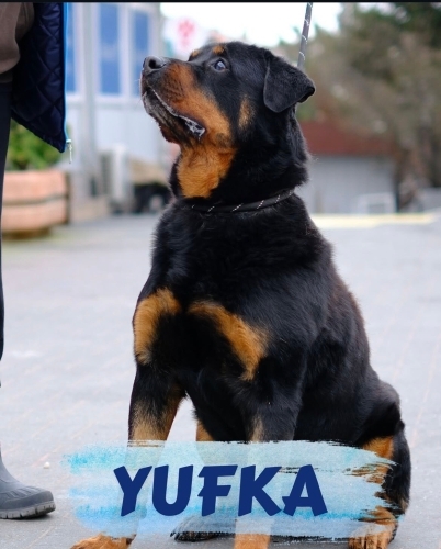 Bebek surat yufka size gelsinmi?😍 fotoğraf