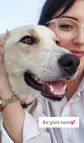 Hanım hanımcık bir kızçe fotoğraf