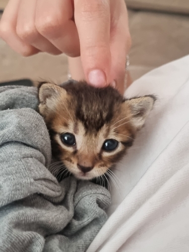 Bebek evini annesini arıyor fotoğraf