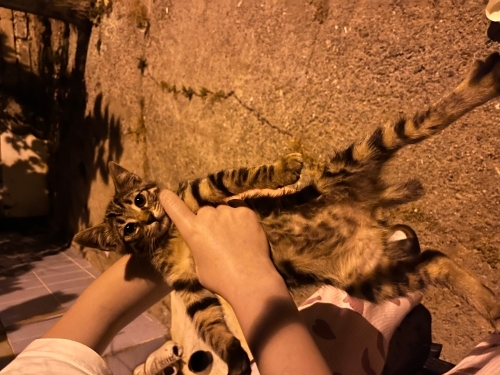 Annesi terk etmiş küçük bebeğimize yuva arıyoruz fotoğraf