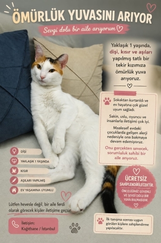 Sevimli Melo ya yuva yeni yuva fotoğraf