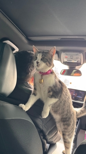 İlgi delisi Minna fotoğraf