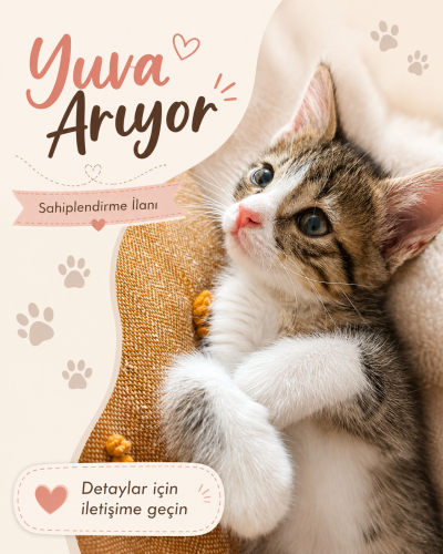 Minik Prenses Zarife’ye Ömürlük Yuva Arıyoruz 🐾 fotoğraf
