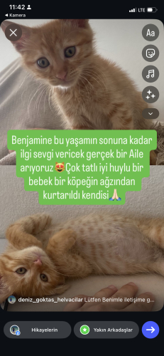 Benjamin ilgi ve sevgi dolu bir Aileyi hak ediyor fotoğraf