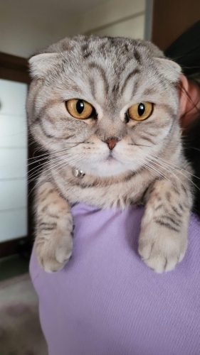 Iyi bir yuvaya ihtiyaci var fotoğraf