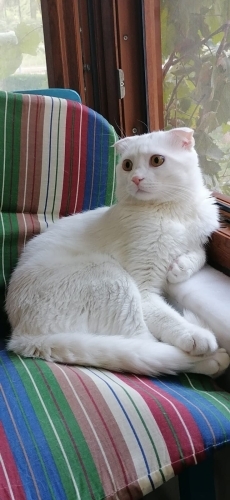Pabloya yuva arıyoruz🫶 fotoğraf