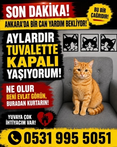 BİR DEPODA TEK BAŞIMAYIM,AİLEM OLUR MUSUN? fotoğraf