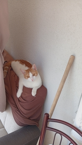 Oyuncu kız yeni aile arıyor fotoğraf