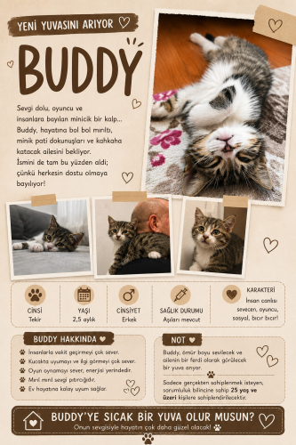 Buddy 2.5 aylık iç dış parazit aşısı ve karma aşısı var fotoğraf