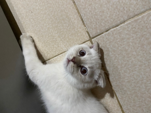 Minik oğlumuza ömürlük yuva arıyoruz fotoğraf