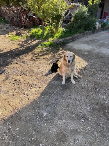 Artık mutlu ve güvende olsun fotoğraf