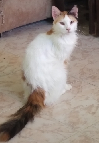 COK GUZWL VE UYSAL BIR KIZ fotoğraf
