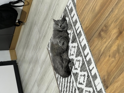 Sevgi aşığı duman fotoğraf