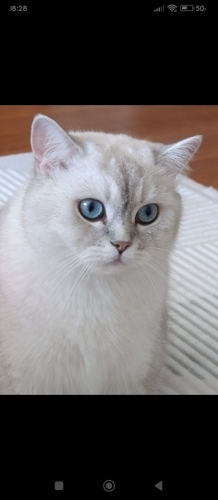 Sevimli dünya güzeli bir erkek fotoğraf