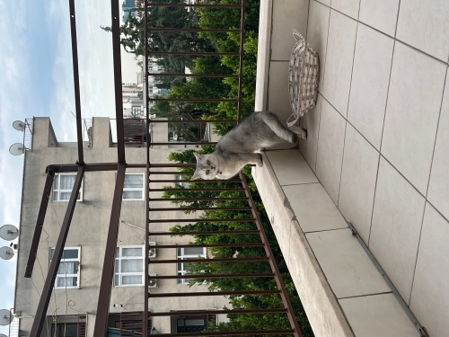 Güzel kızımıza Güzel Yuva İstiyoruz fotoğraf