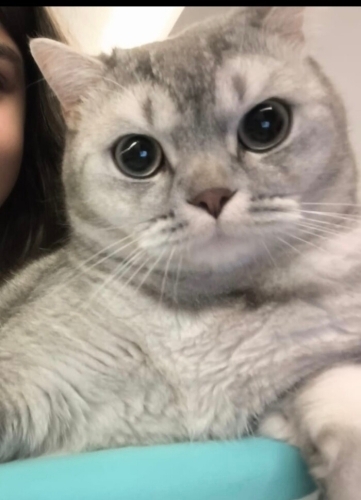Acil değil doğru yuva fotoğraf
