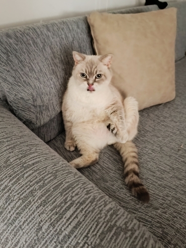 Oğluşuma yeni yuva arıyoruzz fotoğraf