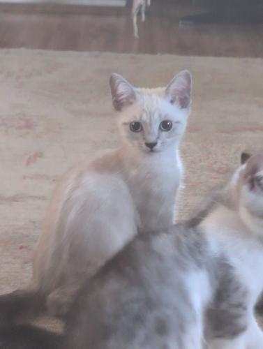 3 aylık bebeğimiz fotoğraf