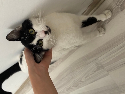 BU MİNİK BEBEĞE SICACIK BİR YUVA ARIYORUZ fotoğraf
