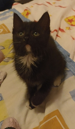 Annesinin terk ettiği çok güzel bir yumurcak fotoğraf