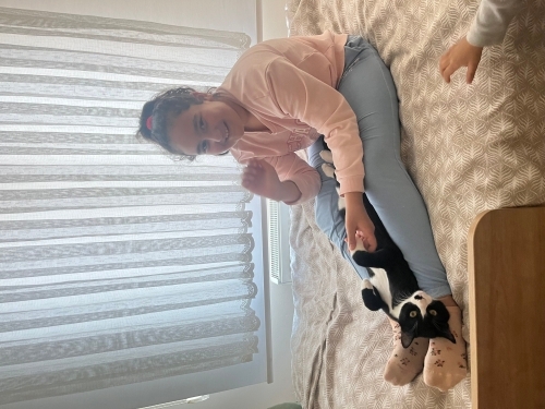 Sakin uysal uyumlu bir kedi fotoğraf