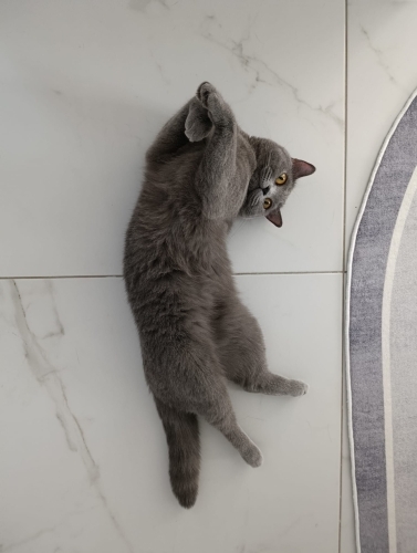 Kızımıza mutlu olabileceği yeni bir yuva fotoğraf