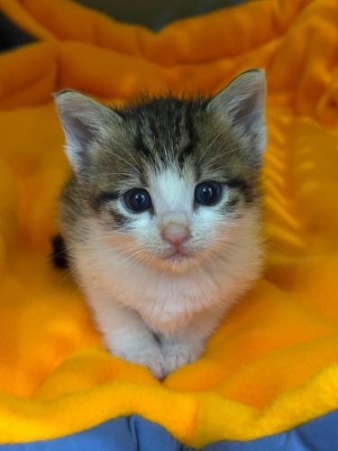 HİKAYESİNİ GÖRÜN fotoğraf