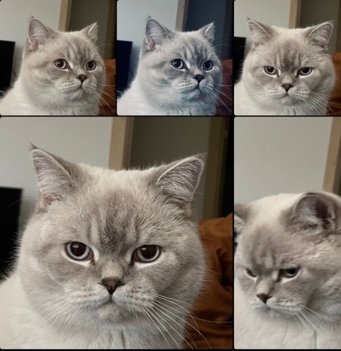 İlgilenecek Yeni bir Dost arıyoruz fotoğraf