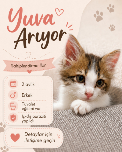Ares’e Ömürlük Yuva Arıyoruz fotoğraf